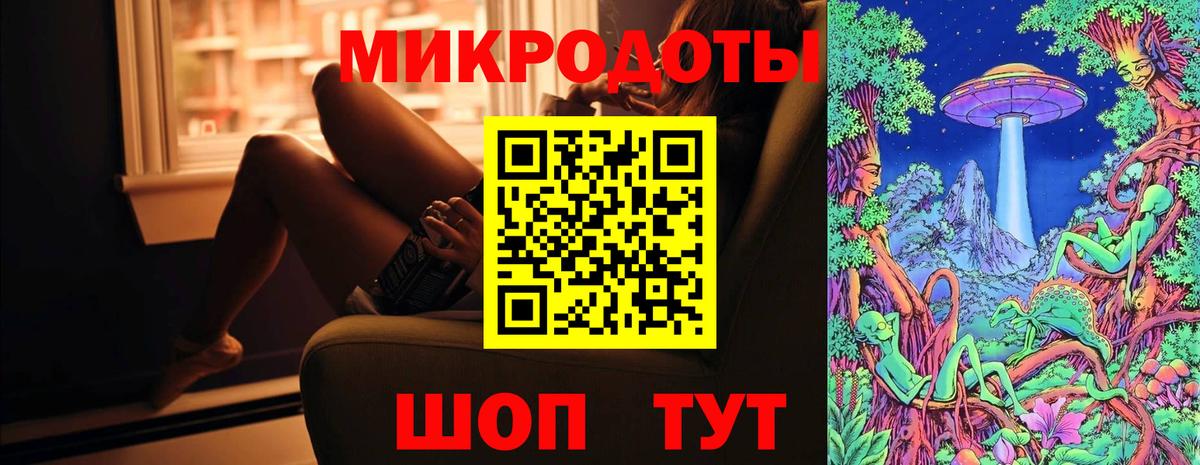 Галлюциногенные грибы Psilocybine cubensis Ишим