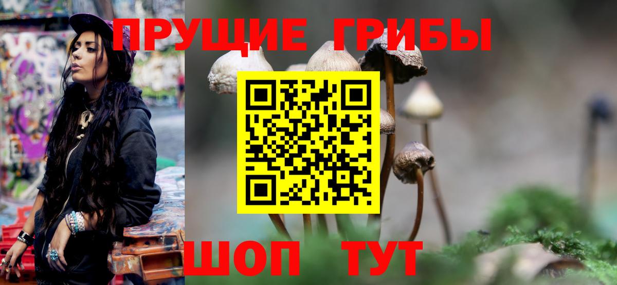 Ишим  Галлюциногенные грибы Psilocybine cubensis  Вход с VPN  Галлюциногенные грибы Cubensis 